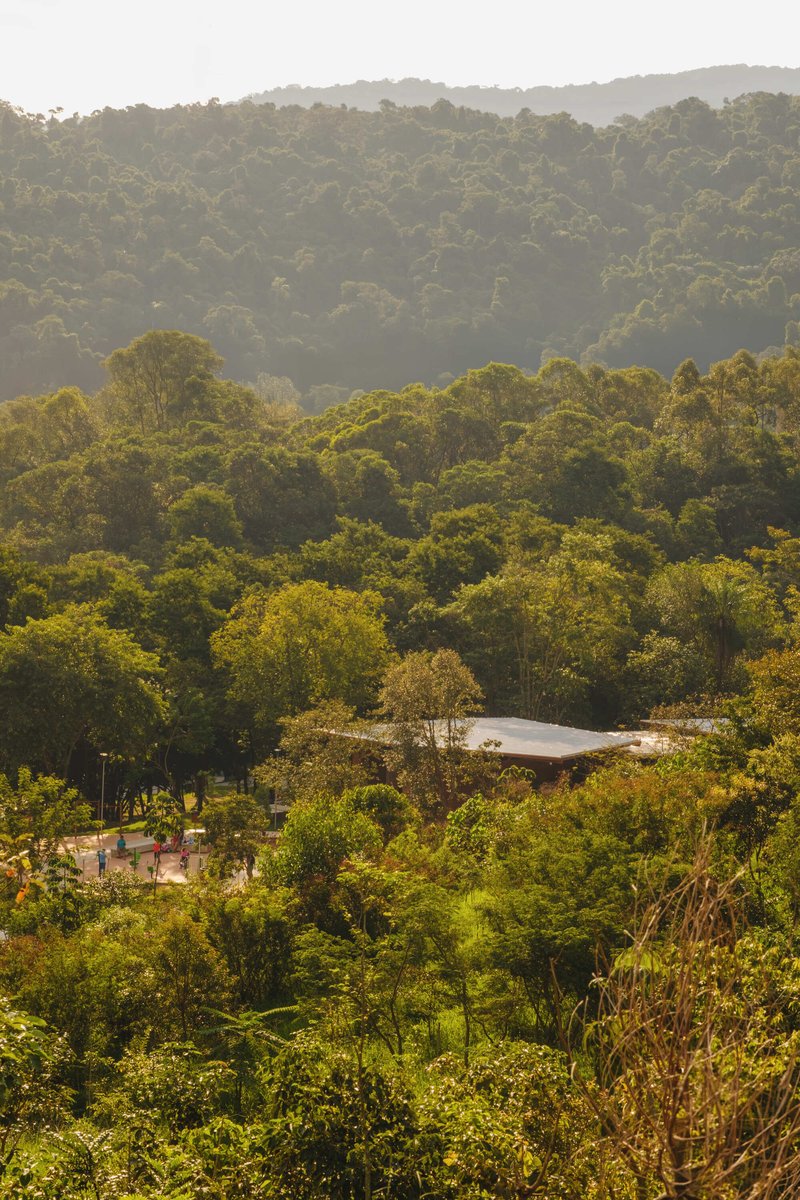 Parque Linear Córrego do Bispo / Natureza Urbana - Imagem 10 de 24