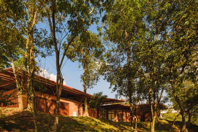 Parque Linear Córrego do Bispo / Natureza Urbana - Fotografia de Exterior, Madeira, Jardim