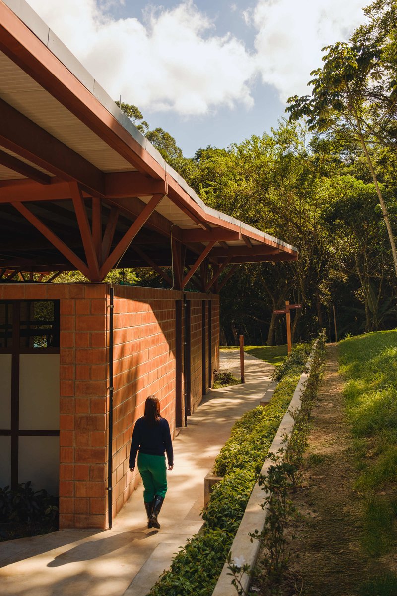 Parque Linear Córrego do Bispo / Natureza Urbana - Fotografia de Exterior, Madeira